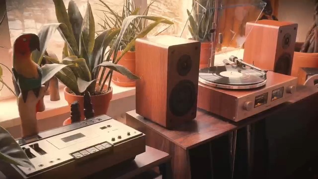 Amazon.com: QLEARSOUL HiFire X Vinyl Record Player, Audiophile