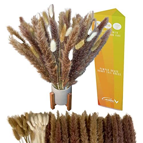 Luxury Mini Pampas Grass Small - 18" Pompass Grass Branches Faux with Bunny Tail, Artificial Pompas Grass, Dried Pompous Grass Decor, Pampass Grass Plants, Brown Pampa Grasses, Natural Pampuss Stems