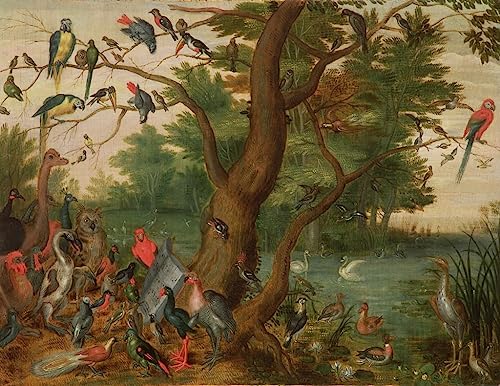 Concert d'oiseaux Tableau Toile Décoration Murale Salon et Bureau 60x90