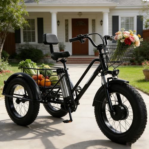 HpJfdsU Triciclo Eléctrico para Adultos, Triciclo Eléctrico 3 Ruedas, Cesta De La Compra (51 X 23 X 30 Cm), Bicicleta Eléctrica De Carga con Neumáticos Anchos 20 Pulgadas, Carga 200Kg
