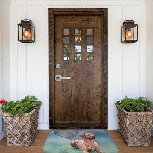 Paillassons pour entrée en textile durable avec motif Rhodesian Ridgeback - 6