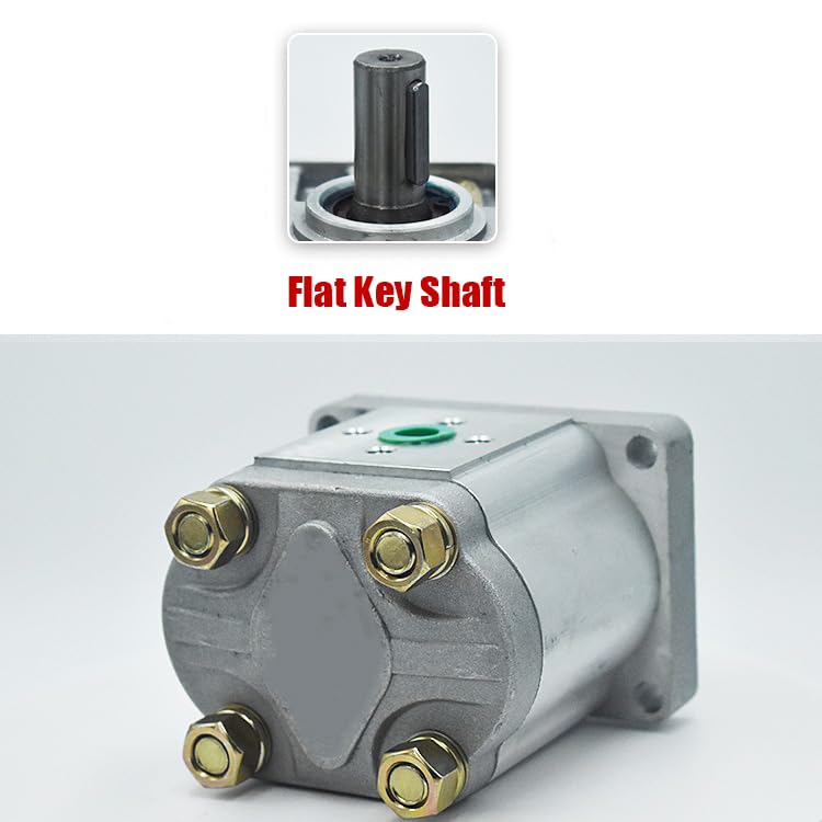 hydraulische Zahnradpumpe, Hydraulikölpumpe,Wird in der Elektroenergie-, Chemie(Flat end-Right-hand,CBN-F304)