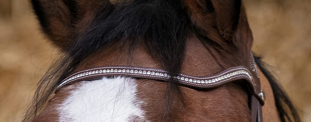 Norton Bridon Pro Miss - Couleurs - Havane, Taille Equipement Cheval - Cheval