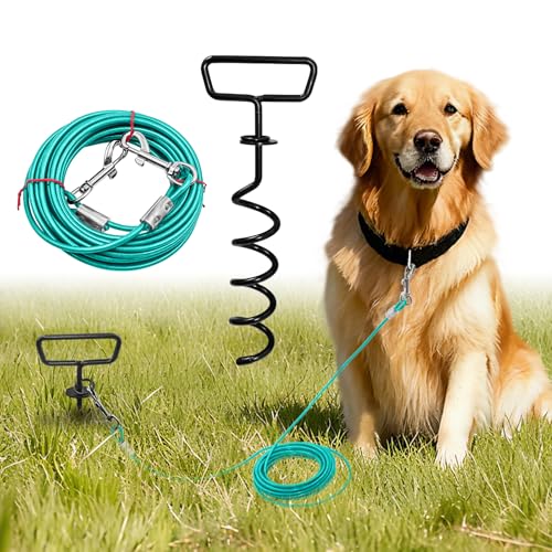 Câble attache chien 50FT cour lourd 150LBS 360° pivotant
