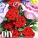 TOAOB 200pcs Pipe Cleaners Craft Supplies DIY Rose Bouquets Making Kit Red Chenille Stems Artificial Flowers Craft Kit for DIY Art and Crafts Party Wedding Home Decorations