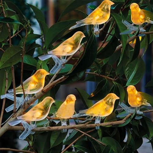 YZYOE 8 paquets de lumières d'oiseaux alimentées par le soleil, décoration de jardin mignonne lampe chaude d'animal, crépuscule sans fil à l'aube des lumières LED...