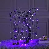 LIGHTSHARE 24-inch Halloween Willow Tree LED Spooky Bonsai Night Light,80 LED Lights, Battery Powered or DC Adapter(Included) (Purple)