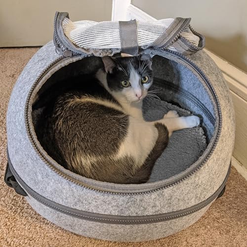 Spot Doc & Phoebe's 3-in-1 Sleep & Go Katzentragetasche, tragbare Haustier-Reisetasche für Katzen und kleine Hunde, lässt Sich in eine Tragetasche, eine gemütliche Höhle und EIN bequemes Bett