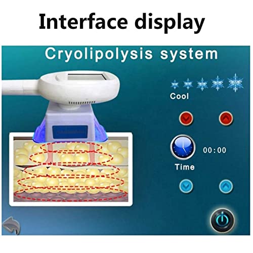 Tquuquu Macchina per Dimagrimento Dimagrante