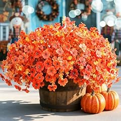 Orange(orange Leaves)