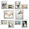 Picture frame set 10 pack farmhouse photo frames gallery wall frame collage 8×10 5×7 4×6 frames in 3 different finishes picture frames for wall or deskrustic white  urban country home decor