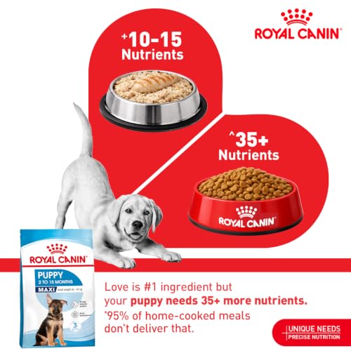 Royal Canin Maxi Puppy Dry Food 4kg - Image 3