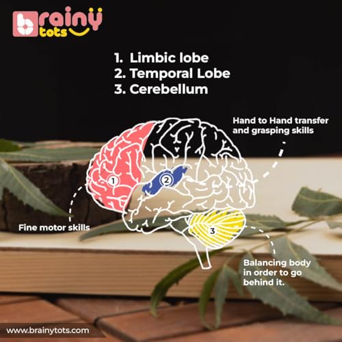 Image of Rolling Drum Rattle & Balancing Wobbler Set | Montessori Baby Toys for Sensory Play & Motor Skill Development | Safe, Durable & Eco-Friendly Toys for Newborns 0-12 Months