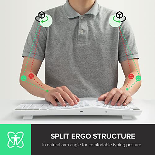 Delux Upgraded Ergonomic Wireless Ergo Split Keyboard With Backlit, 2.4G And Bluetooth, Scissor Switch And Palm Rest For Natural Typing, Compatible With Windows And Mac Os (Gm902Pro-White) #TOP1