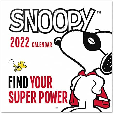 Official Line Friends 2022 Wall Calendar, 2022 Calendar, 12" x 12" Square Wall Calendar 2022 (Free Poster Included), Family Calendar 2022, Kids Calendar