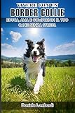 Vivere con un Border Collie: Educa, ama e comprendi il tuo cane senza stress.