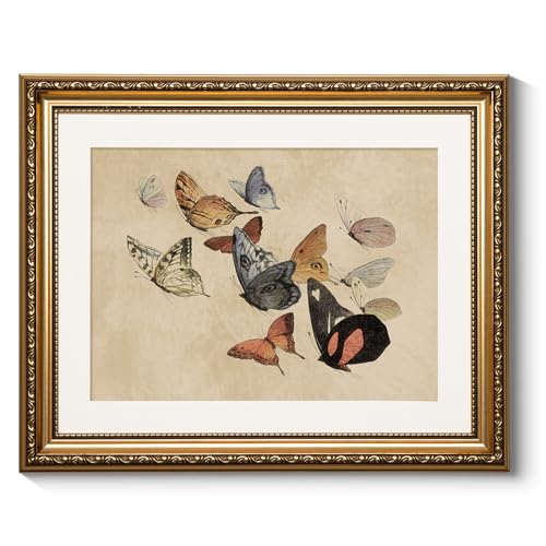 ARPEOTCY Vintage Gold Framed Wall Art, Classical Flying Butterflies Paintings,