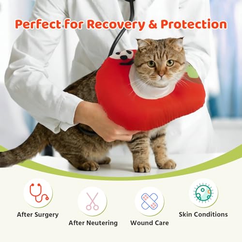 Collar protector para gato antilameduras ajustable dona L 3