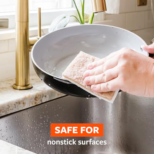 Image of Full Circle Walnut Scrubber Sponges, Pack of 2 - Dual-Sided, Plant-Based & Recycled Kitchen Sponges, Gentle on Nonstick Cookware