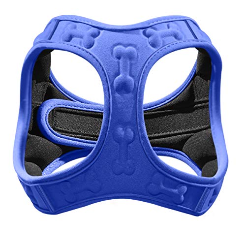 Top 10 Ivdd Dog Harness of 2022 Scriptencode