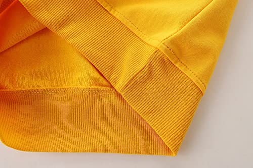 Image of AIWUHE Toddler Cotton Sweatshirt Boys Girls Pullover Long Sleeve Tops 2-6Y | Tops Blouse, Cotton T-Shirt, Fall Winter Clothes