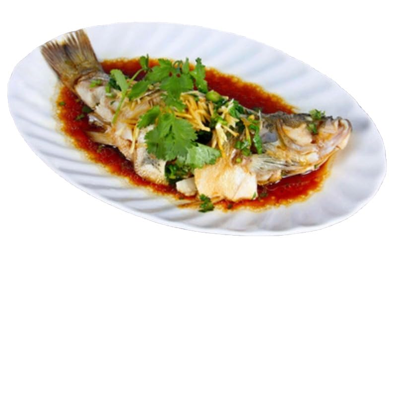 Assiette blanche Fortemore résistante au four et lave-vaisselle x24