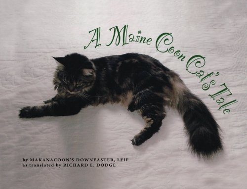A Maine Coon Cat's Tale