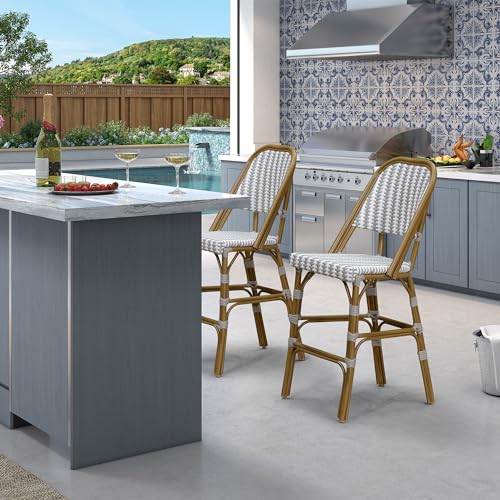 PURPLE LEAF französischer Barhocker 2er-Set, Barstühle mit Graues...