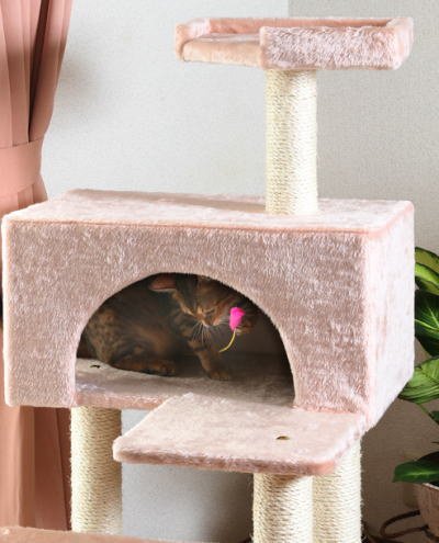 Amazon | マウ (Mau) Mauタワー エスカリエ ピンク | Mau | キャット