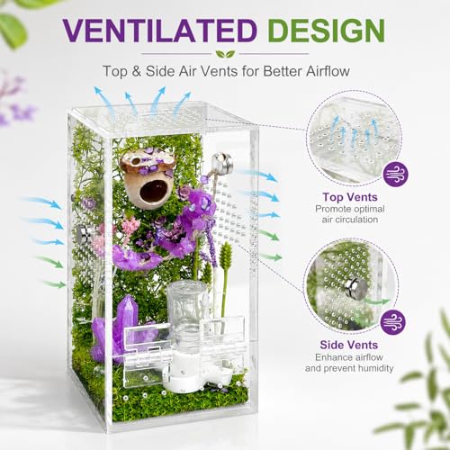 Image of Jumping Spider Enclosure,DIY Insects Habitat,Small Reptile Terrarium Glass House Accessories Set,with Jumping Bridge Hide Water Feeder (Purple)