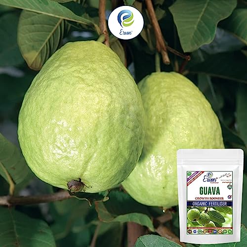 Image of Erwon Guava Growth Booster for Soil, Premium Essential Powerful Organic Fertilizer for Overall Growth of Guava Plants, with Charged Micro-Organism and ++ Micronutrients (400 gm)