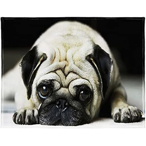 YISUMEI 60" X 80" Blanket Comfort Warmth Soft Plush Throw for Couch Pug Tummy Daze Cover