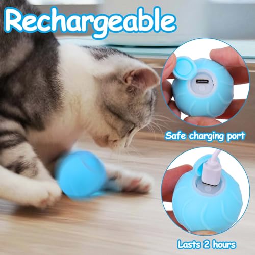 Mity rain Interactive Cat Toy, Cat Toys for Indoor Cats Ball Jumping and Rolling in Pouch, Hide and Seek Cat Mat Toy Self Play for Boredom and Activating Natural Hunting Instincts Kitten Toys