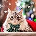 SilTriangle 4 Pcs Christmas Cat Collars Breakaway with Stylish Bow Christmas Red Green Black Plaid Xmas Kitten Collar with Bell Removable Bowtie Xmas Collar for Kitten