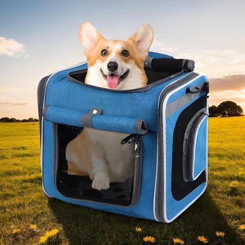 Cesta para perros de bicicleta y mochila de transporte ventilada para viajes 4
