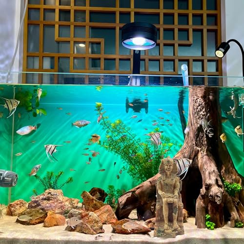 Image of M2cbridge Aquarium Decor Castle Shipwreck Ornament Underwater Landscape(Egyptian Pharaohs)