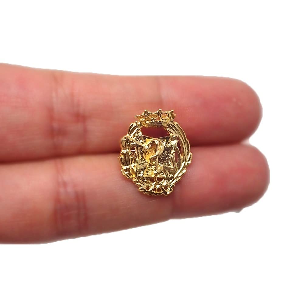 Insignia Profesional Odontología Escudo Plata 925m Ley 17mm. Pin Chapado Oro Cierre Trasero latón