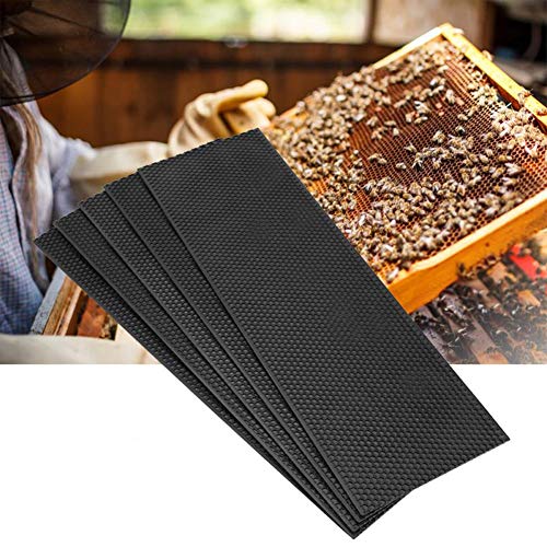 Mioloe 5Pcs Plastic Auto Honey Keeper Beehive Frame Spacers Kit Replacement Nest Box Capture Grip Beekeeping Beehive Tools