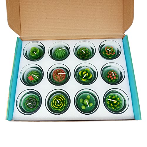 Amusaer Succulent Cactus Tealight Candles In Glass 12 Set Bulk Small Soy Wax Candles For Wedding, Party Favors, Baby Shower, Bridal Shower Green #TOP6