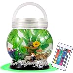 Fish Tanks Kids