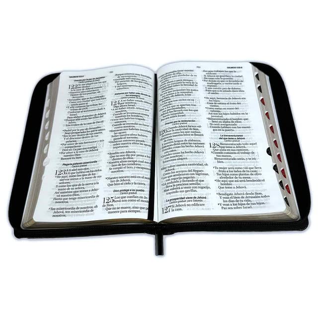Biblia RVR 1960 Letra Grande Tamaño Manual Símil Piel Negro con Índice con Cierre con Cierre      Imitation Leather – October 18, 2022