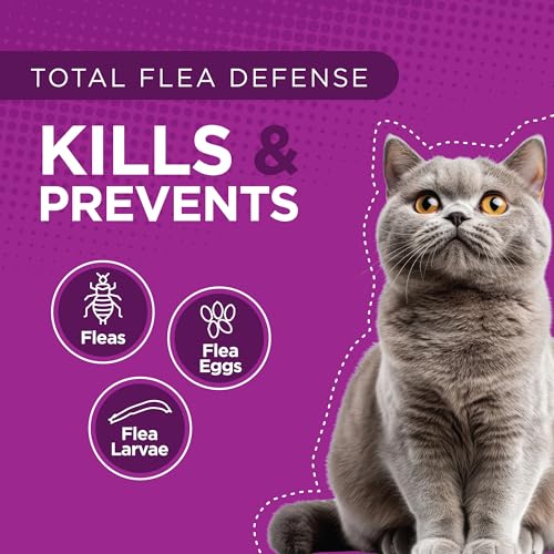 TevraPet Actispot II Flea Treatment for Small and Medium Cats 5-9 lbs | 6 Doses | Powerful Prevention and Control, Clear - Image 5