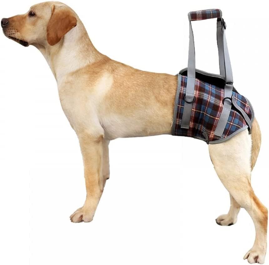 Entry and carrying aid for dogs especially for hip problems for injured elderly or restricted dogs (L), Orange - Image 2
