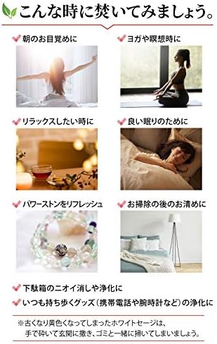 Amazon Co Jp ホワイトセージ 無農薬 浄化用 100g オーガニック カルフォルニア産 直輸入 お部屋 パワーストーン アウトレット ドラッグストア