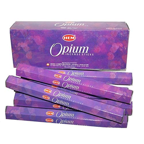 ґzp 120{ IsE w ~ 20{6{ = 120ނ̐VNȍ݌ɁB