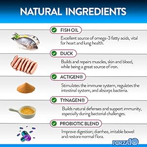 Forza10 Dog Probiotics and Digestive Enzymes Chews Supplements, Duck Flavor Probiotics for Dogs Digestive Health and Gut, Pet Probiotics for Dogs with Diarrhea, Dog Gas Relief, Upset Stomach, 90 Ct.