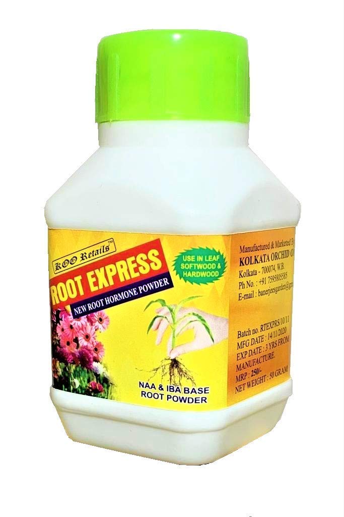 KOO Retails Root Express - Rooting Hormone Powder (200)