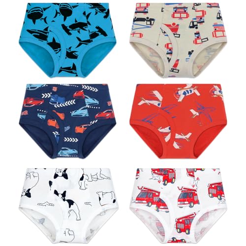 APIFRSUAK Boy's Underwear 100% Cotton Soft Boys Briefs 6 Pack Toddler Underwear with Size 2/3t, (US, Age, 2 Years, 3 Years, Fire Truck)