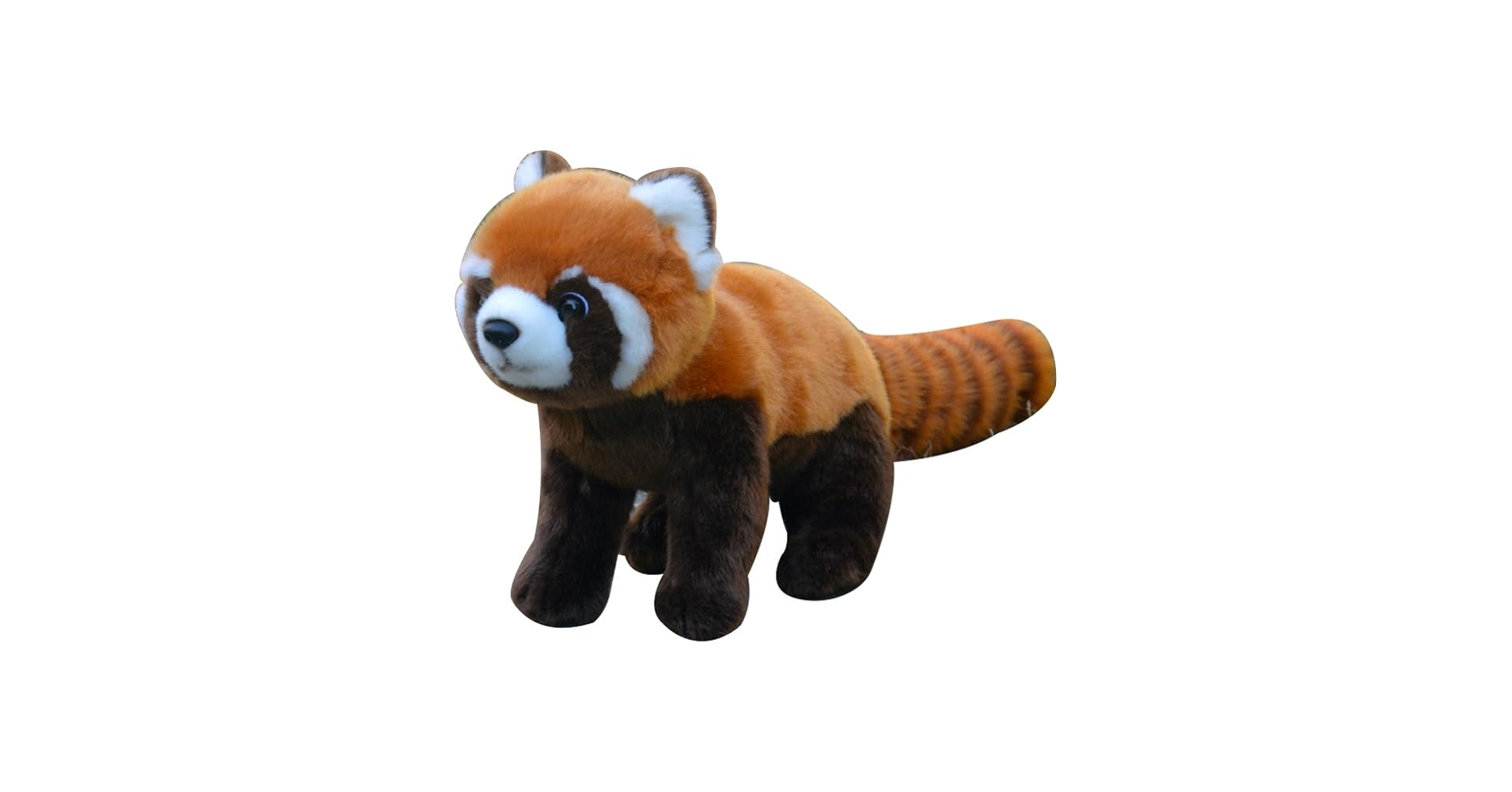 Amazon.co.jp: リアルなかわいい茶色のアライグマぬいぐるみ動物