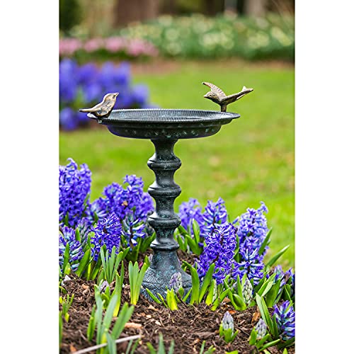 Mangeoire pour jardin et bain d'oiseaux robuste contre intempéries - 3